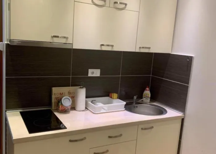 Elt * 兹拉蒂博尔